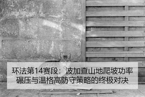 huan-fa-di-sai-duan-bo-jia-cha-shan-di-pa-po-gong-lv-nian-ya-yu-wen-ge-gao-fang-shou-ce-lve-de-zhong-ji-dui-jue-2-394.jpg