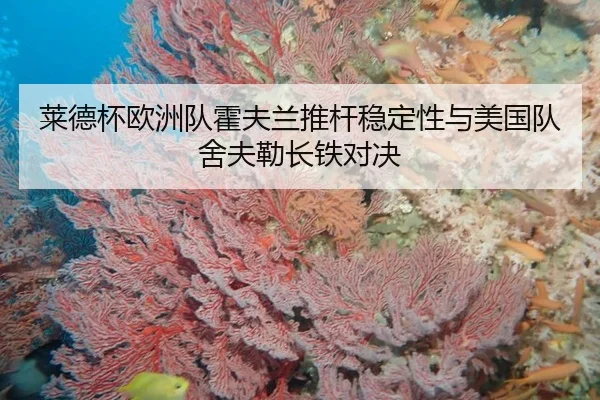 lai-de-bei-ou-zhou-dui-huo-fu-lan-tui-gan-wen-ding-xing-yu-mei-guo-dui-she-fu-lei-zhang-tie-dui-jue-2-172.jpg