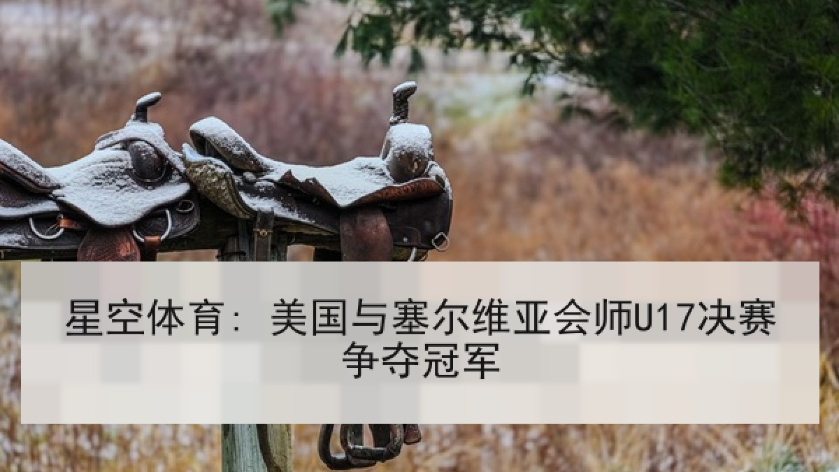 星空体育: 美国与塞尔维亚会师U17决赛争夺冠军