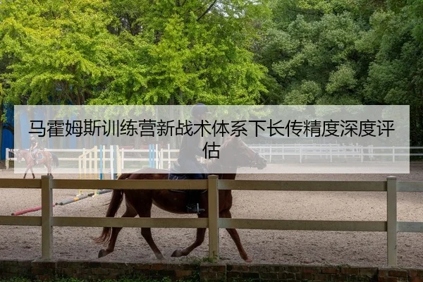 马霍姆斯训练营新战术体系下长传精度深度评估